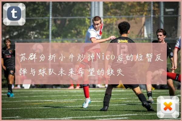 苏群分析小牛炒掉Nico后的短暂反弹与球队未来希望的缺失